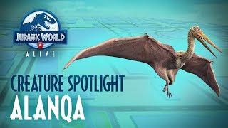 Creature Spotlight  Alanqa [upl. by Aeneg91]