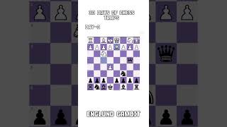 Englund Gambit Day3 chess chesslessons rgbucketlist notyourtypekirtichow mrbeast ajjubhai94 [upl. by Acinahs]