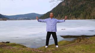 Les 18 mouvements du Tai Ji Qi Gong [upl. by Cara317]