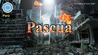 Pascua  IDDSMM [upl. by Aenit]