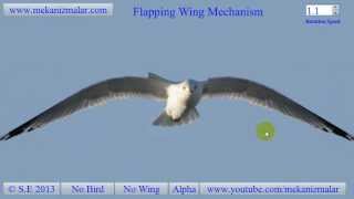 Wing Flapping Mechanism [upl. by Akcire]