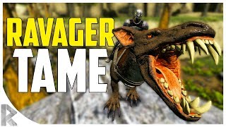 RAVAGER TAMING  How to Tame a Ravager  Ark Aberration Expansion Pack DLC EP5 [upl. by Moberg554]