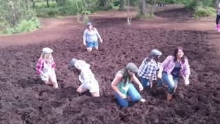 Bog Run at Causey Farm [upl. by Ynahpit]