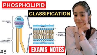 phospholipids biochemistry  glycerophospholipid and sphingomyelin biochemistry [upl. by Selry]