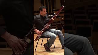 Bassoon Solo of The Day “Donna Lee” excerpt bassoon music bassoonist [upl. by Anjali325]