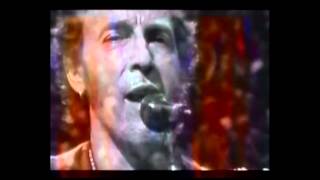 Bruce Springsteen  Born in the USA live compilation [upl. by Eilrak]