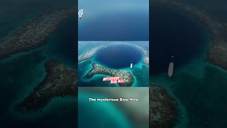 The Great Blue Hole The Worlds Deepest Sinkhole  Fact it bluehole facts interestingfacts [upl. by Bailar]