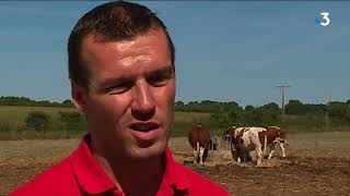 Mayenne  les inquiétudes des agriculteurs avant la visite dE Macron [upl. by Arria829]