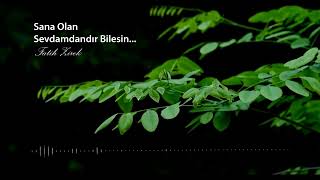 SANA OLAN SEVDAMDANDIR BİLESİN FATİH ZİREK [upl. by Silda]