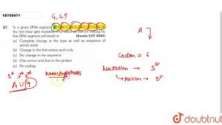 In a given DNA segment ATACC AGG ACC CCA ACA the first base gets mutated [upl. by Attevaj]