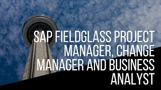 SAP Fieldglass Project Manager Change Manager and Business Analyst [upl. by Bundy]