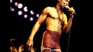 Fela Kuti  Observation Is No Crime [upl. by Anaerda]