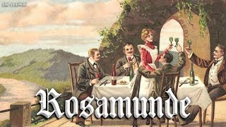 Rosamunde German version of Bohemian folk songEnglish translation [upl. by Latihs671]