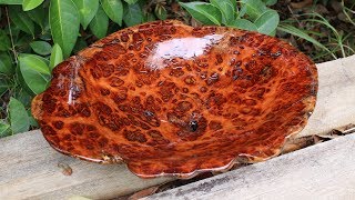 Power carving a burl bowl [upl. by Aikehs]