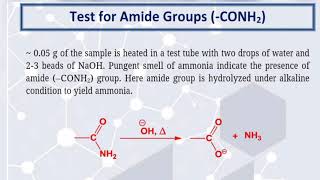 Test for amide group CONH2 [upl. by Imyaj820]