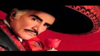 MIX VICENTE FERNANDEZ [upl. by Jinny]