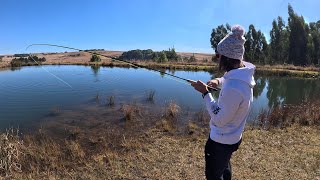 Lots of Rainbow Trout at Kinloch Dullstroom😍🎣 [upl. by Nauqyt207]