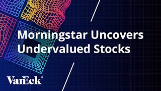 Morningstar Uncovers Undervalued Stocks [upl. by Retsila143]