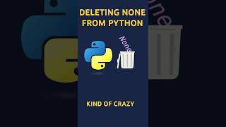 Deallocating None from Pythons runtime python pythonprogramming coding bug programming [upl. by Mei741]