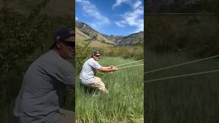 Launching orange with Giant Slingshot at my mountain retreat physics fun [upl. by Aixela]