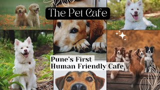 The Pet Cafe  Top Cafes  Pune  Koregaon Park [upl. by Mackie431]