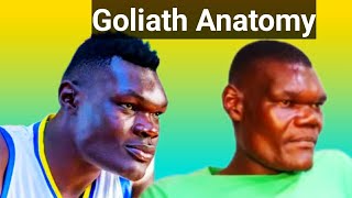 quotMBONA VICHWA ZINAKAA HIVOquot Bradley Gen Z Goliath Anatomy [upl. by Riem]