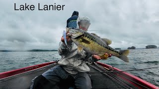 Lake Lanier bass fishing hurricane herring bass [upl. by Brynne]