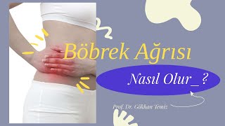 Böbrek Ağrısı  Böbrek Ağrısı Nasıl Olur  Böbrek Ağrısının Belirtileri Nelerdir [upl. by Delphina]