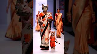 Cats Family Fashion Show 😻💫💃 cat baby shorts trending [upl. by Meehyrb25]