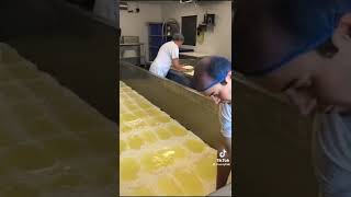 The mesmerising process of separating curds and whey when making cheese Video cheesyfolk [upl. by Akoyn]