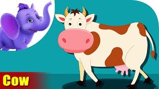 Cow Animal Rhyme Cow Videos for Children [upl. by Atims719]