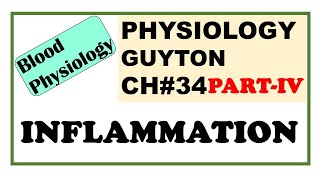 Ch34 PART4 Physiology Guyton  Events in Inflammation  Role of Neutrophils amp Macrophages [upl. by Ateekan]