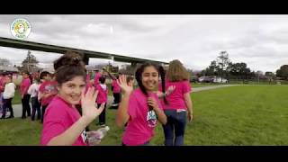 Pink Shirt Day 2019  Salinas City Elementary School District [upl. by Eardna]