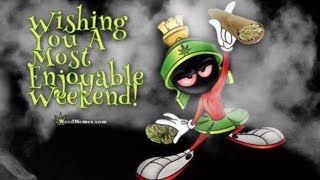 is there a Q36 SPACE MODULATOR cannabis strain [upl. by Tiemroth985]