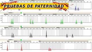 ¿CÓMO HACER UN PERFIL GENÉTICO  GENÉTICA FORENSE [upl. by Raveaux]