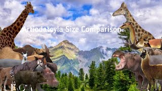 Artiodatcyla Size ComparisonCamelidsGiraffidaeCervidaeSuidaeBovidaeHippopotamidae [upl. by Horn409]