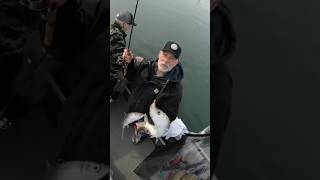 Catching Herring fishing herring oregon trending [upl. by Cassy237]