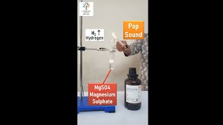 Reaction of Magnesium with Sulphuric Acid experiment science [upl. by Ifar28]