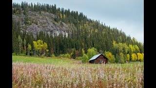 2020 Offerdalsberg Narurreservat Jämtland Sweden Travel photo gallery [upl. by Inesita]