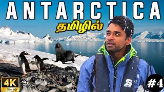 🌨️அண்டார்டிகா வந்து இறங்கிட்டோம் 4K Antarctica EP4  World Tour S4 [upl. by Ttebroc]