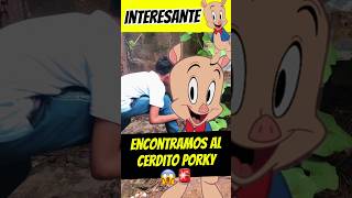 Encontramos al cerdito Porky 😰😱 Interesante Asombróso 😰😱 [upl. by Samalla627]