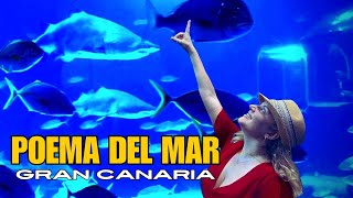 POEMA DEL MAR Aquarium  Las Palmas Gran Canaria [upl. by Leeth]