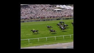 quotRace Dayquot Melbourne Cup 2024 A1600 [upl. by Kurth]