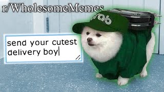 rWholesomeMemes  cutest memes on the internet [upl. by Halden]