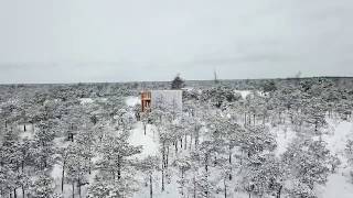 Observation tower TREPP in Tuhu bog Estonia  EKA sisearhitektuur  RMK [upl. by Ahsikar]