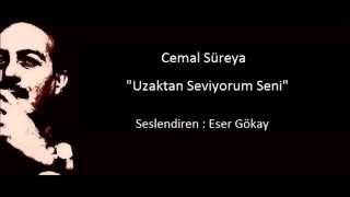 Cemal Süreya Uzaktan Seviyorum Seni [upl. by Yreneh]