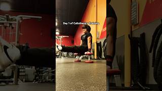 DAY 1 OF 60 calisthenics training [upl. by Leind]