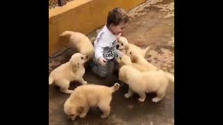 Why Are KIDS and Their FURRY FRIENDS So Happy apt us election funnyclips us election live [upl. by Jemma183]