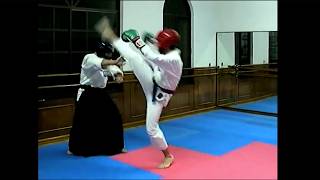 Epic Aikido vs Taekwondo Black Belt Sparring [upl. by Perl462]