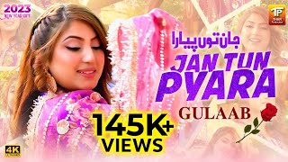 Jan Tun Pyara  جان توں پیارا  New Song 2023  Gulaab  Official Music Video Tp Gold [upl. by Orlosky669]